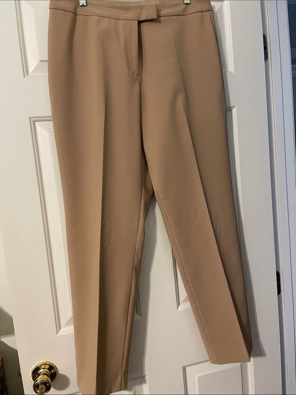 Anne Klein Neutral Camel Dress Pants.  Like New Size 14